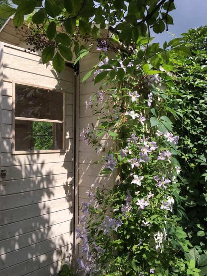 Bolechowice Lesna 6 - House With A Gardenヴィラ エクステリア 写真