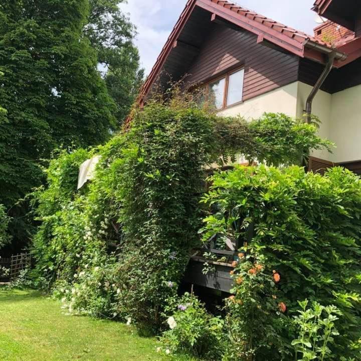 Bolechowice Lesna 6 - House With A Gardenヴィラ エクステリア 写真